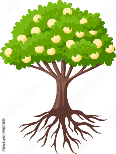 Peach tree illustration. Fruit harvest cartoon icon