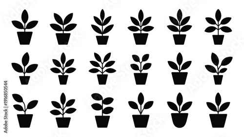 Silhouettes of multiple potted leaf plants on white background black plant icons various pot sizes and leaf shapes eco friendly symbols
