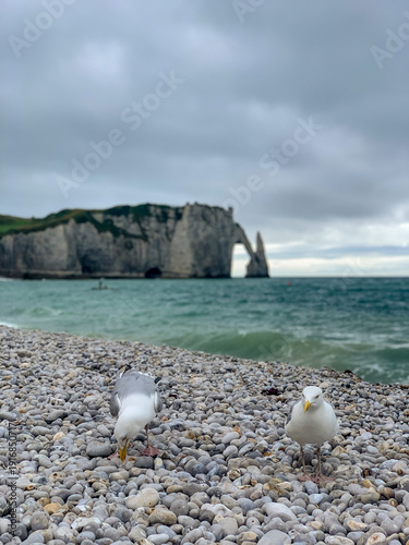 Two seagulls on a pebble beach with the famous chalk cliffs and natural arch of Etretat in the background. Moody coastal landscape in Normandy under an overcast gray sky.