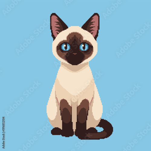 Siamese Cat Illustration with Blue Eyes.