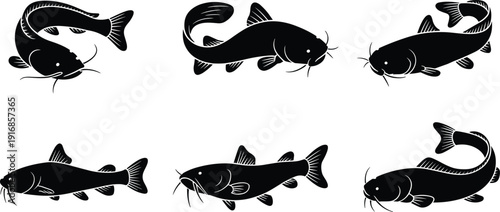 Black vector silhouette set of catfish in various swimming poses including curved bodies and side profiles for fishing seafood restaurant and aquatic nature branding