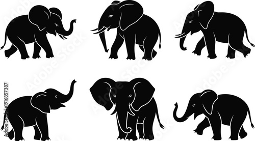 Black vector silhouette set of African elephants in various poses including walking standing and raising trunks for wildlife nature safari and conservation branding