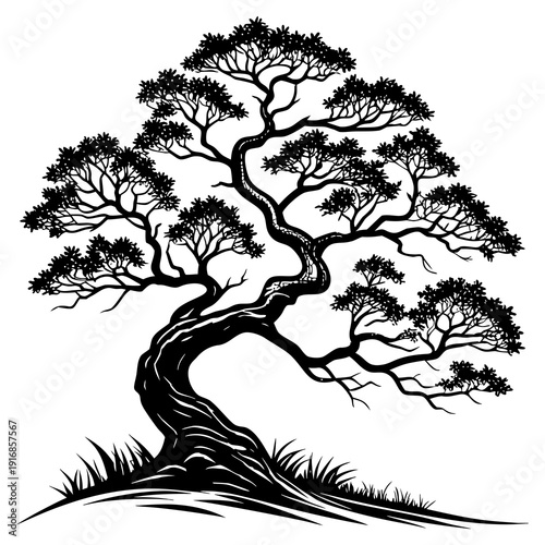 Striking black and white illustration of a mature bonsai tree, showcasing its weathered trunk and intricate branching structure.