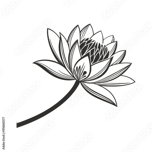 Minimalist black and white lotus flower line art symbolizing purity and tranquility in nature