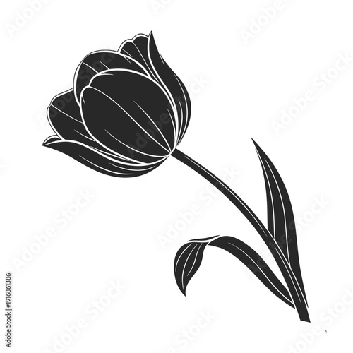 Detailed line art tulip illustration in black and white with refined petal textures and contours