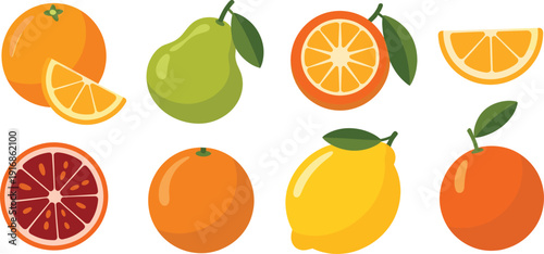 Citrus fruit collection illustration, orange lemon grapefruit pear slices, flat vector healthy food icons isolated background design set