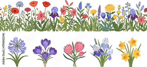 Vibrant Spring and Summer Flowers Vector Illustration Set with Seamless Border and Individual Bouquets
