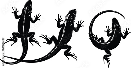 WebBlack lizard silhouette collection, tropical reptile vector set, iguana and gecko graphic icons, exotic wildlife isolated on a white background.