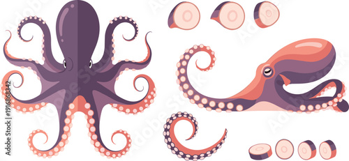 Octopus Whole Body and Sliced Tentacles Seafood Vector Illustration Set with Fresh Marine Animal Elements for Restaurant Menu and Culinary Design.
