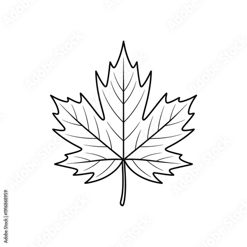 A simple black and white line drawing of a maple leaf