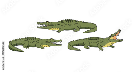 Three green cartoon crocodiles with powerful open jaws revealing sharp teeth in various side-view positions.