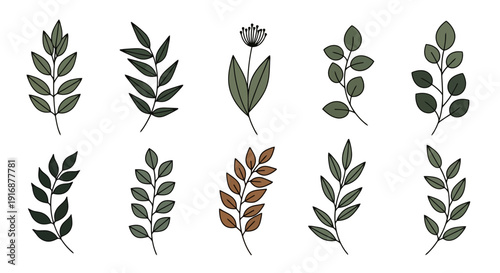Collection of Hand-Drawn Botanical Elements and Leaves.