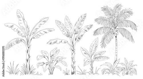Vintage tropical jungle botanical sketch composition.