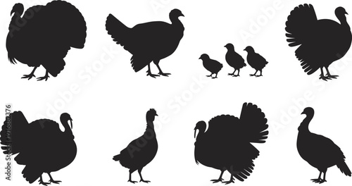 Turkey silhouette icons with adult and chick poses for wildlife and farm animal theme - black vector illustration set