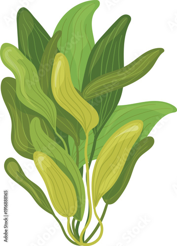 Ocean green plant growing. Marine nature flora