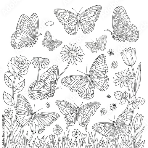 Lovely butterfly and flower coloring page for adults and kids, detailed design for calm and creative expression