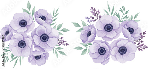 Watercolor illustration of two clusters of purple anemone flowers with green leaves and small blooms