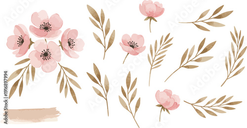 Watercolor illustration of pink flowers and golden leaves on white background for design or decoration