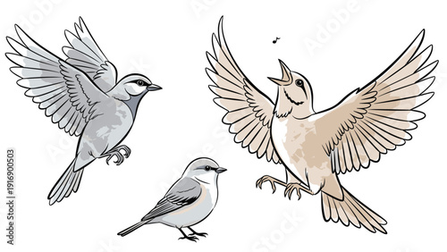 Collection of three sparrows is depicted in various dynamic poses including flying with wings spread and singing a note on a white background.