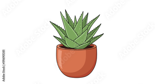 A green aloe vera plant with spiky leaves is growing inside a simple brown terracotta pot.