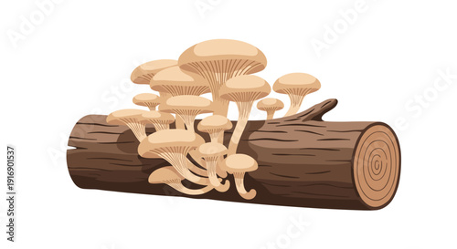Numerous light brown mushrooms with caps and stems are clustered and growing on a fallen wooden log.