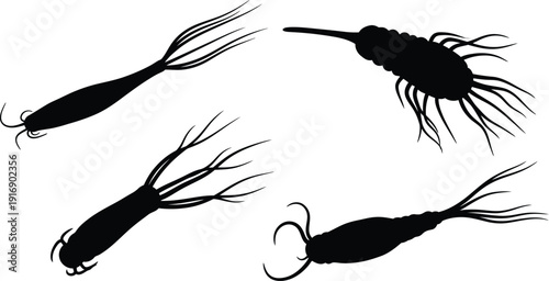 Black silhouette illustration of four fishing flies