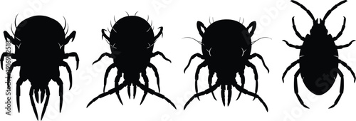 Insect silhouettes with multiple angles and views