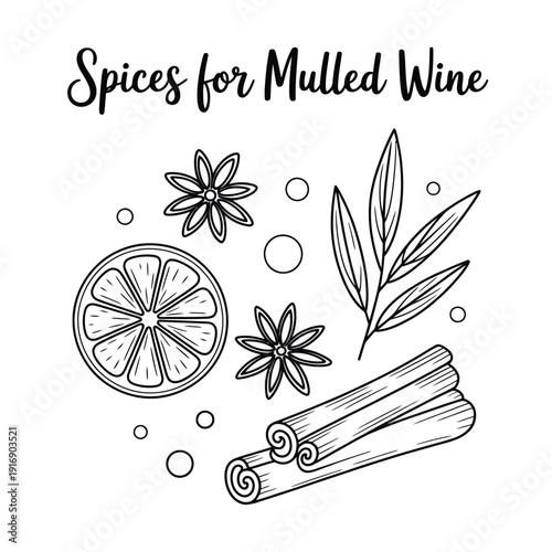 Spices for mulled wine a sketch of cinnamon star anise and citrus