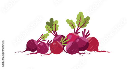 A pile of freshly harvested red and purple beetroots with green leaves is presented on a white background.
