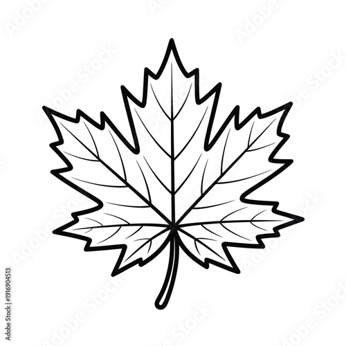 Simple black and white line drawing of a single maple leaf