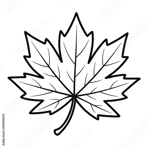 Simple line drawing of a maple leaf isolated on a white background