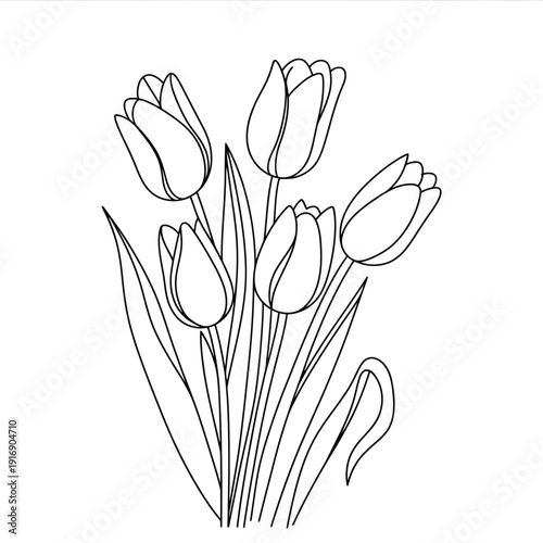 Simple line drawing of five tulips with green leaves
