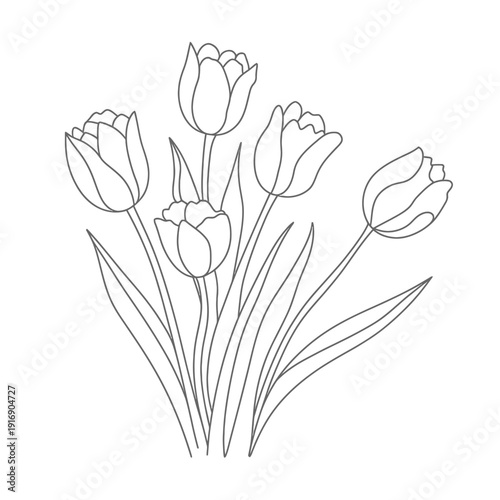 Simple line drawing depicts a bouquet of five blooming tulips