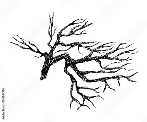 Twisted bare tree branches in black ink illustration isolated on white background featuring gnarled tree silhouette with detailed hand drawn line art and dramatic organic shapes