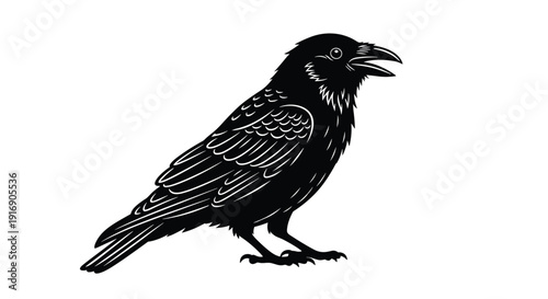 Detailed black and white outline drawing of a crow standing with its beak open.