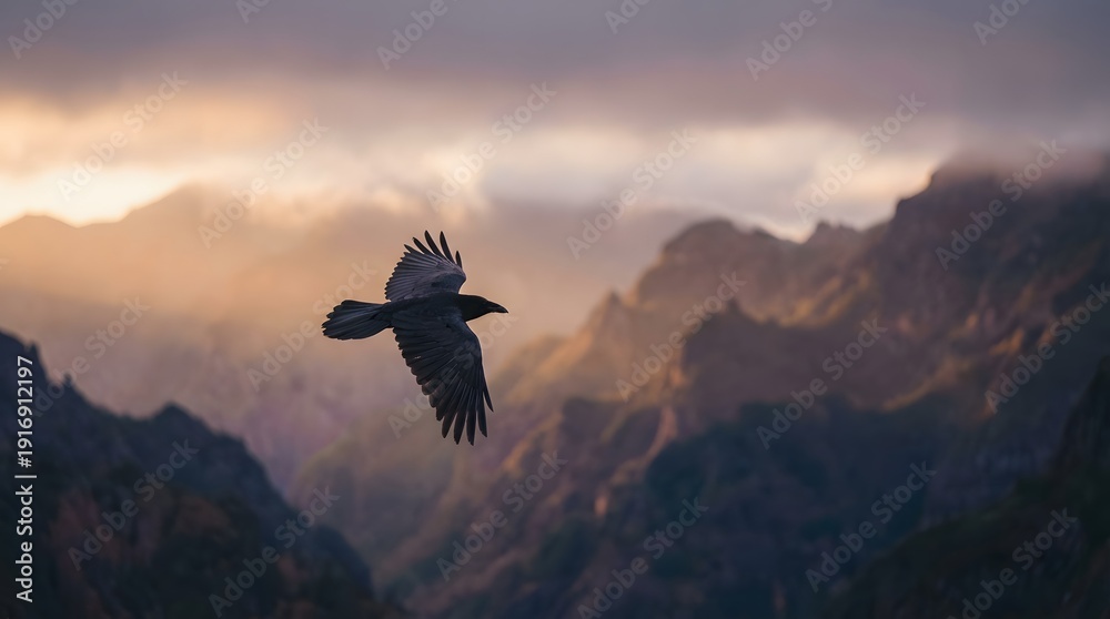 Fototapeta premium A dramatic shot of a silhouetted raven soaring with widespread wings against the golden hour light over rugged mountain peaks.