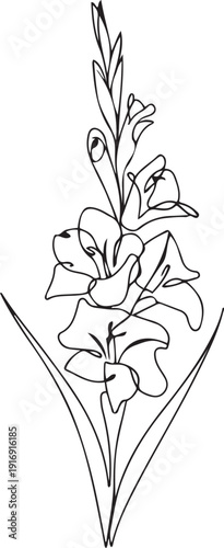 One single line drawing of beauty fresh gladiolus for home wall decor poster art. Printable decorative sword gladius flower concept for fashion textile. one line Icon drawing