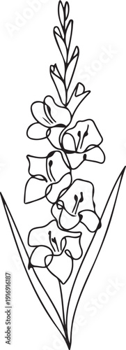One single line drawing of beauty fresh gladiolus for home wall decor poster art. Printable decorative sword gladius flower concept for fashion textile. one line Icon drawing