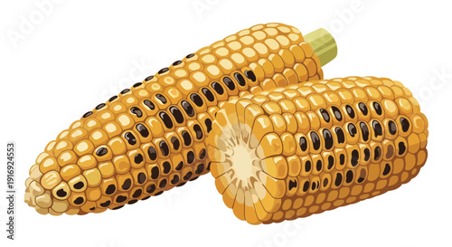 Two ears of corn one partially husked displaying golden kernels