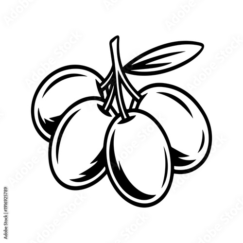 Olive Sketch Illustration of Fresh Fruits on Branch with Leaf Hand Drawn Style