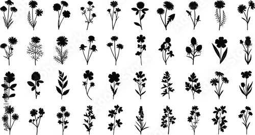 Large collection of wildflower silhouettes, field flowers, herbs, and meadow plants isolated on white background for nature inspired floral design. (20 words)