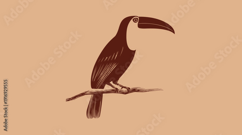 A stylized illustration depicting a toucan perched on a branch against a solid beige background