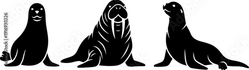 Marine mammals silhouette icons, seal, walrus, sea lion, black and white vector, ocean wildlife, aquatic animals, educational design, zoology illustration
