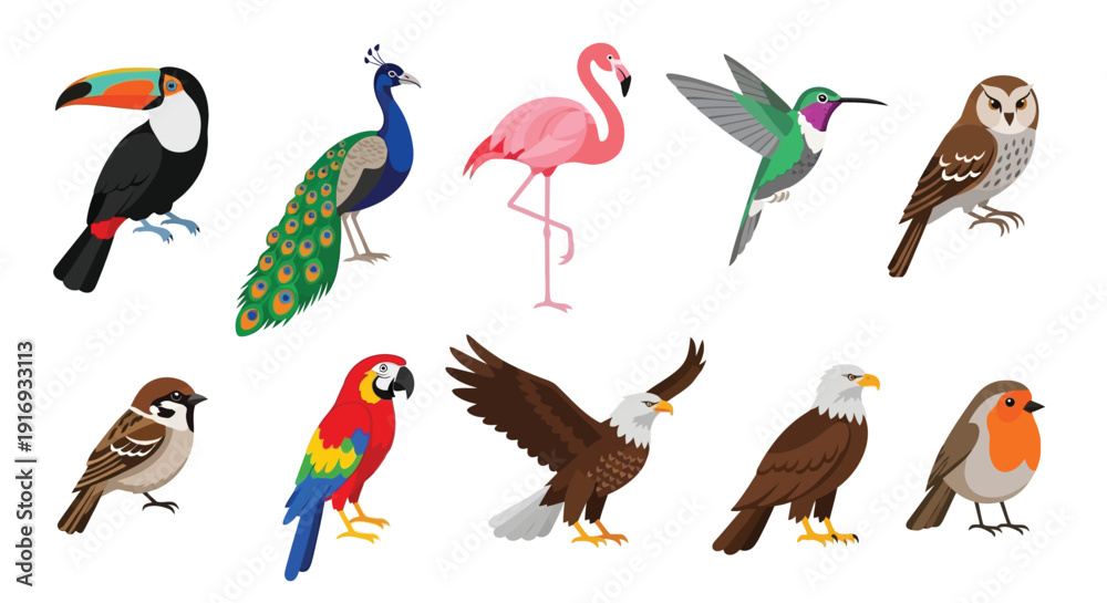Obraz premium A colorful collection of various bird species in a flat design