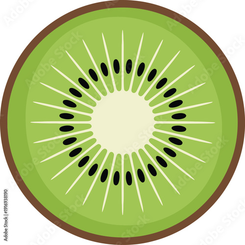 Slice of kiwi fruit, cross section of a kiwi, healthy food, tropical fruit, green flesh with black seeds, vector illustration