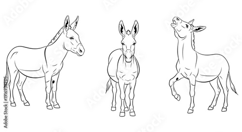 Simple black and white donkey illustrations showcasing various poses and facial expressions for artistic or educational use in children's books or animal themed projects.