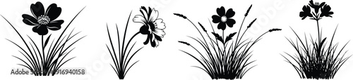 Black and white illustration of four cattail plants in various stages