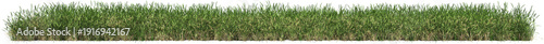 Long Grassline, Realistic Green Grass Border Isolated on Transparent Background – High Detail Lawn Cutout PNG, 3d render