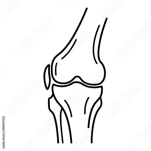 Simple Line Art Illustration of Human Knee Joint Anatomy