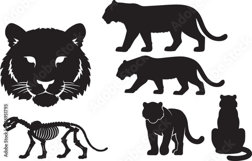 Powerful Tiger Silhouette Vector Set: Walking, Sitting, Head Logo, and Detailed Skeleton Anatomy Icon Collection for Wildlife and Mascot Design